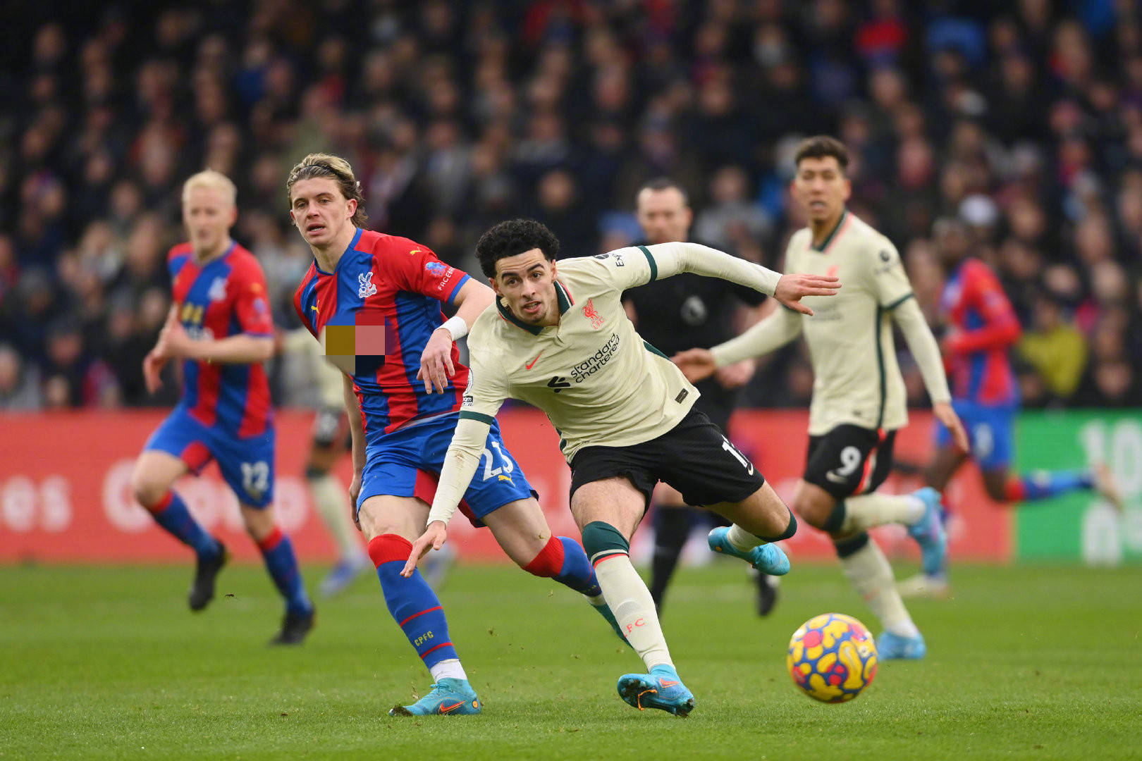 志愿者们一 志愿者们一